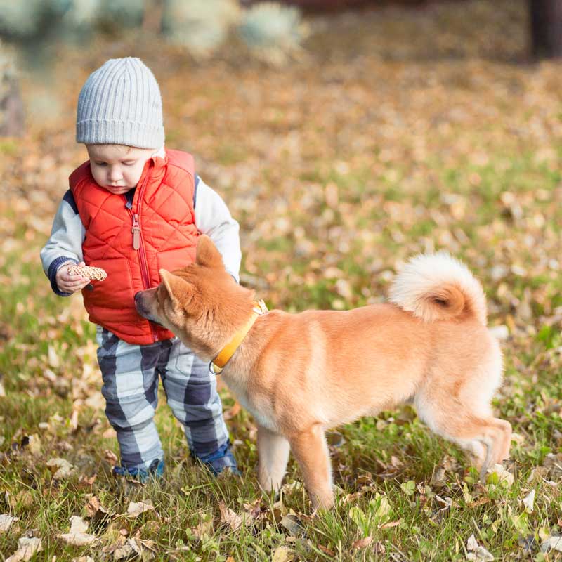 kid and puppy